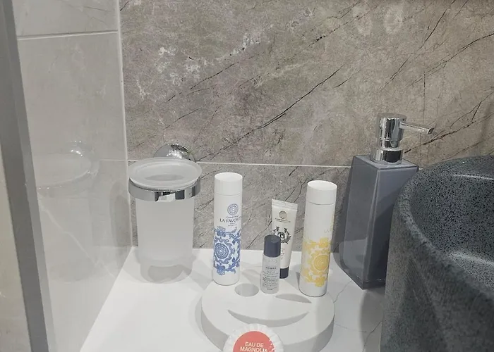 Luxury Old With Parking Apartment Plovdiv